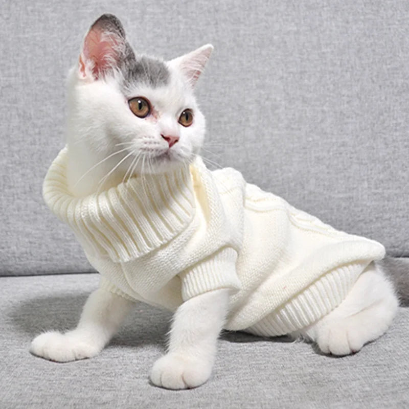 PurrStyle Sweater