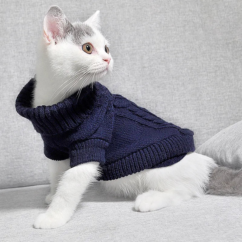 PurrStyle Sweater