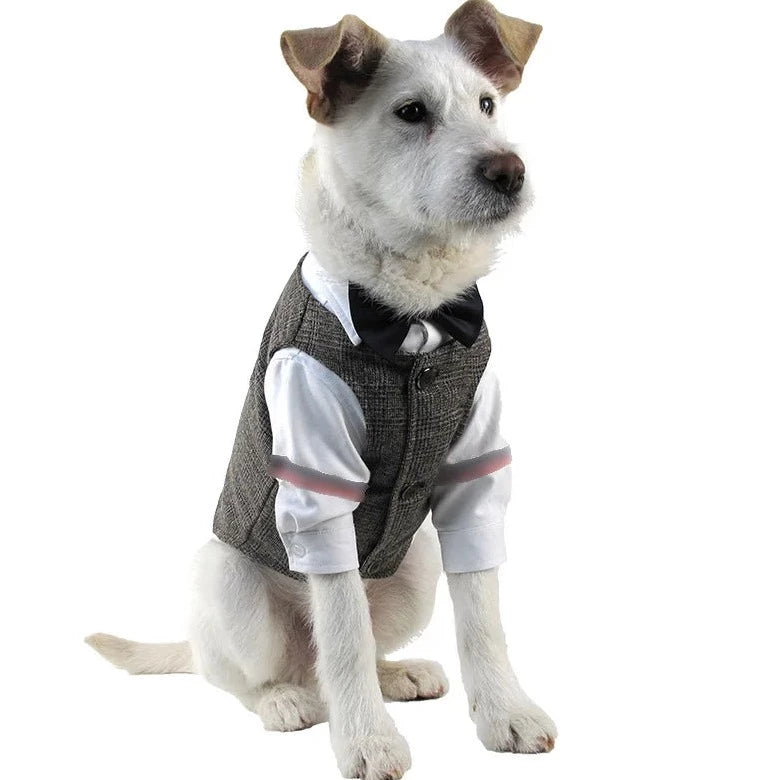 PawsElegance Suit Coat and Vest