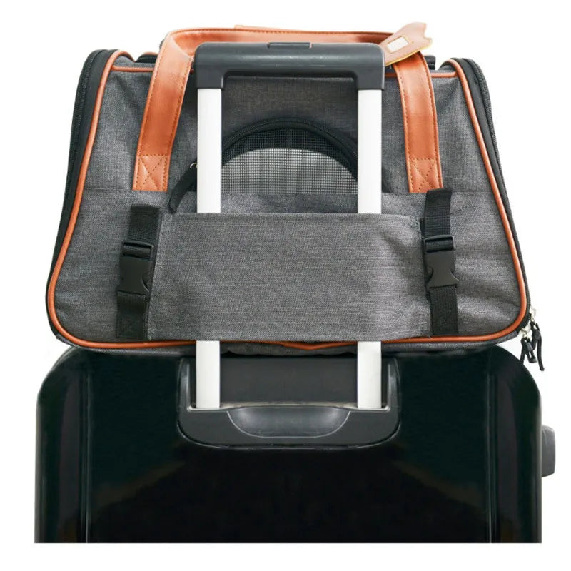 PawsVoyager Soft-Sided Pet Carrier