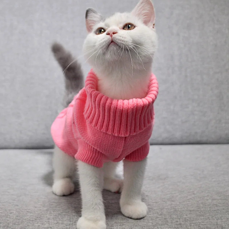 PurrStyle Sweater