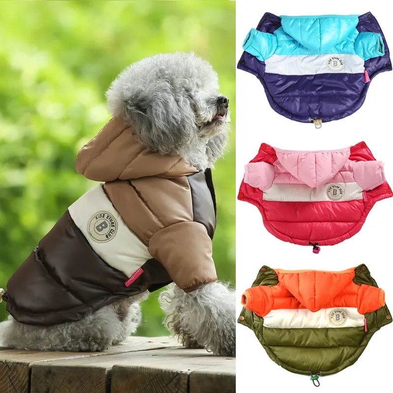 Waterproof Cotton Pet Jacket